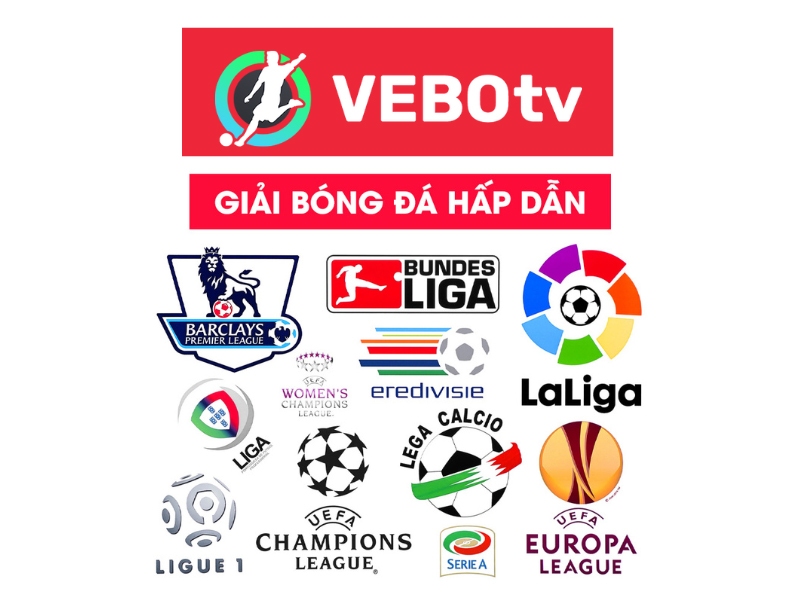Các giải đấu có bản quyền phát sóng tại Vebo TV